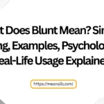 what does blunt mean