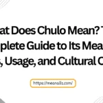 what does chulo mean