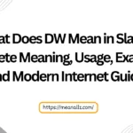 what does dw mean in slang