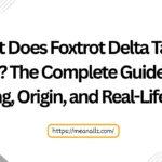 what does foxtrot delta tango mean