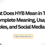 what does hyb mean in text