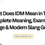 what does idm mean in text