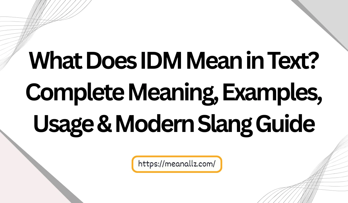what does idm mean in text