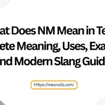 what does nm mean in text