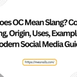 what does oc mean slang