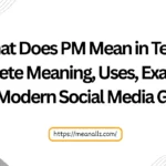 what does pm mean in text