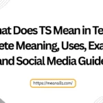 what does ts mean in text