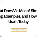 what does via mean