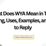 what does wya mean in text