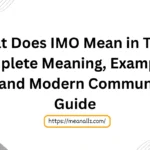 what does imo mean in text